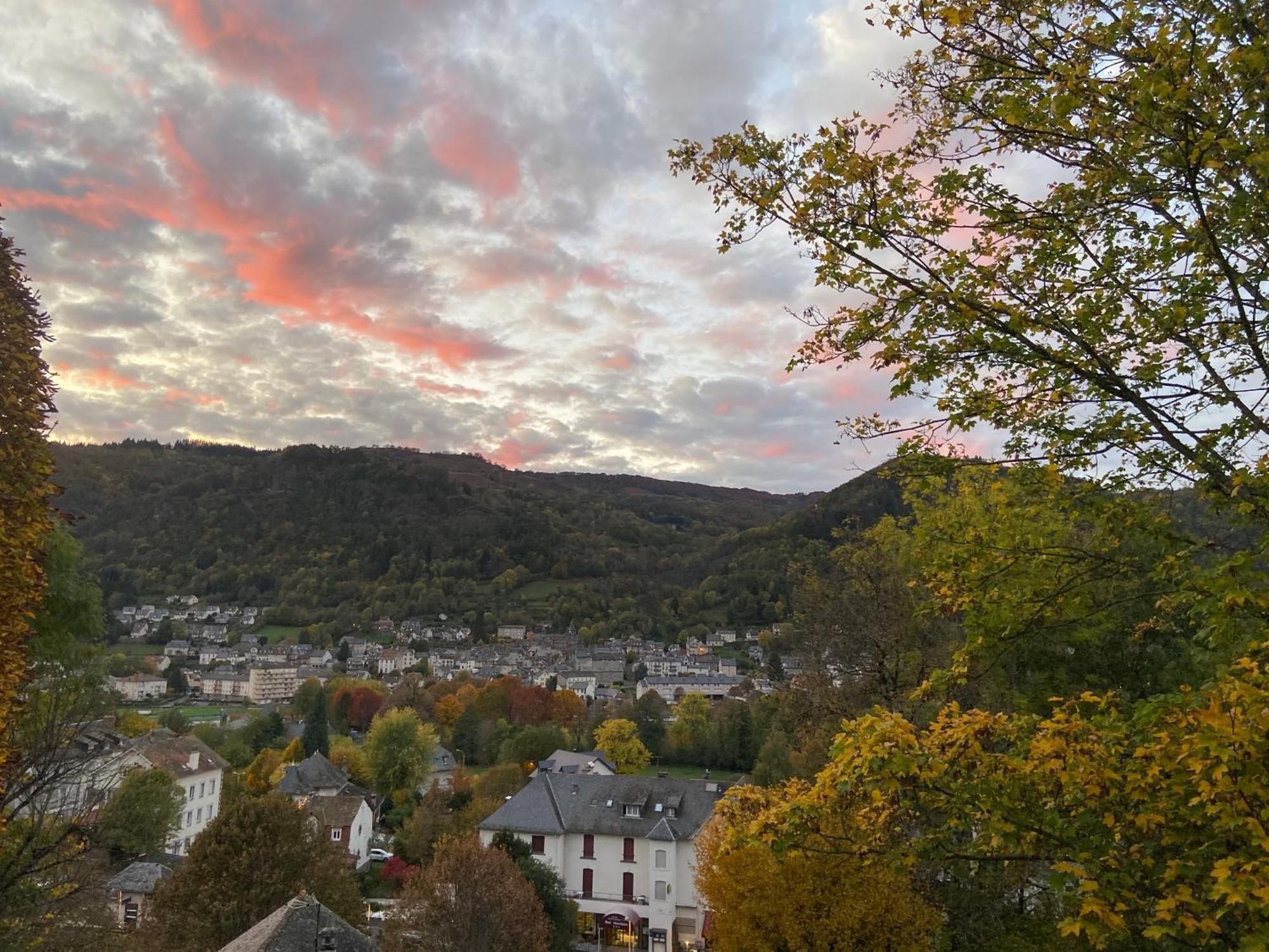 Logis Hotel Bel Horizon Vic-sur-Cère Eksteriør bilde