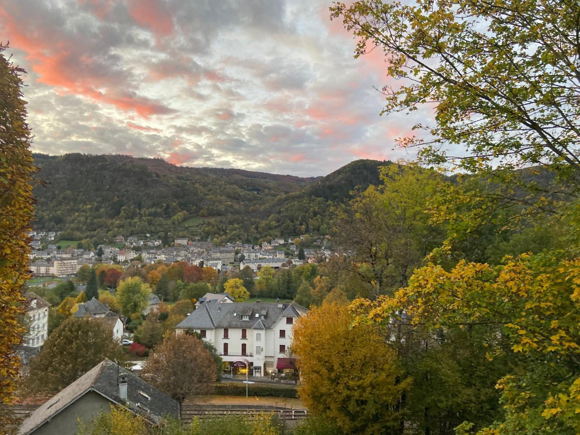 Logis Hotel Bel Horizon Vic-sur-Cère Eksteriør bilde